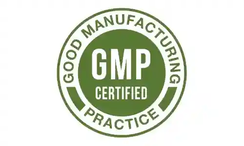 Brain Memory Keeper GMP Certified